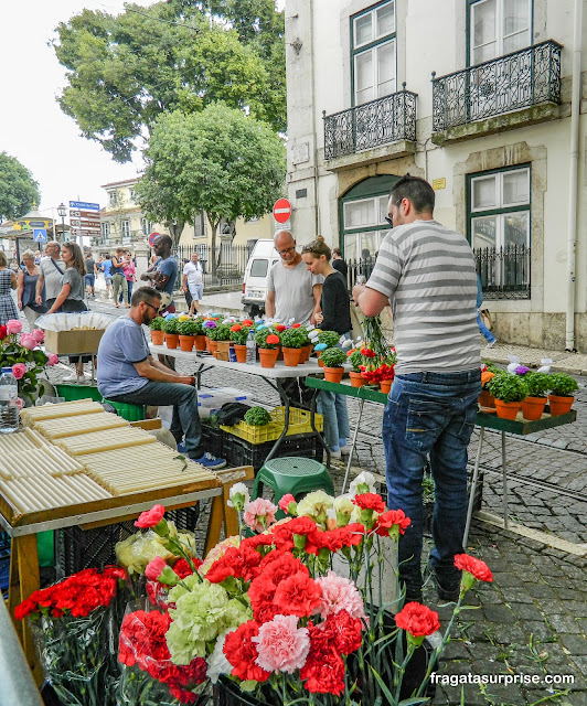 Cravos e manjericos tradicionais na Festa de Santo Antônio em Lisboa