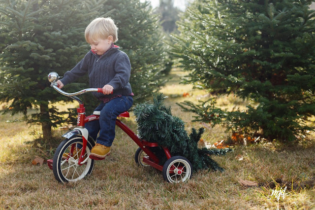 MJD Photography, Martha Duffy, Kimball Brook Farm, Hancock, NH, New Hampshire, Christmas, Family, Documentary and Lifestyle Photographer