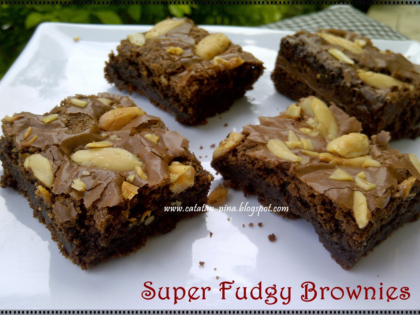 SUPER FUDGY BROWNIES  Catatan Nina Aneka Resep  Masakan 