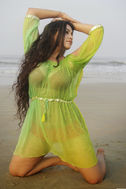 south spicy actress varsha hot photoshoot bikini 