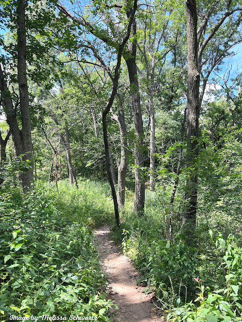 The sandy trail through the woodlands up on the moraine treated us  to views and a bit of a challenge.