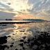 Coral bleaching at Terumbu Pempang Laut