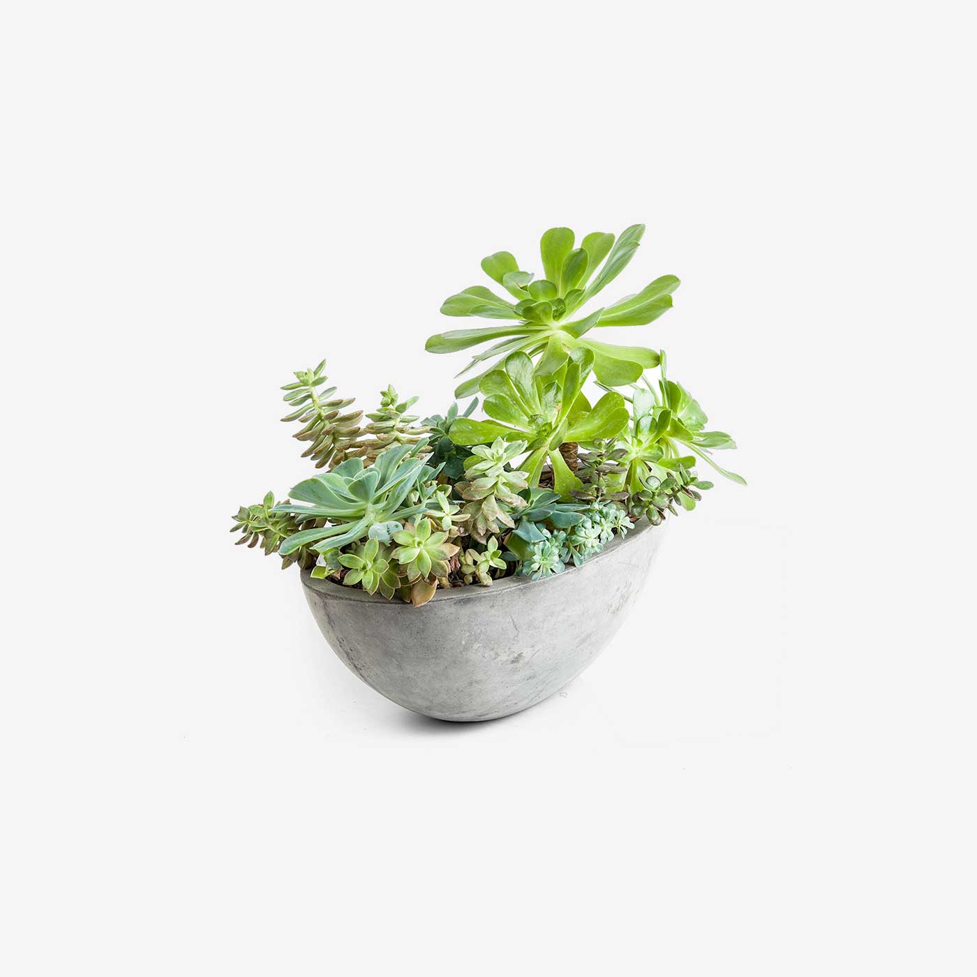 Repose Yano Planter