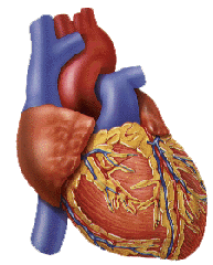 Corazón enfermo