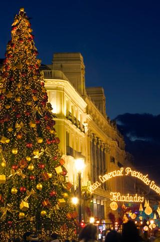 beautiful christmas tree