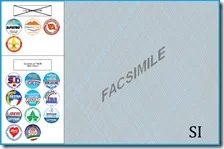 Voto valido al ballottaggio