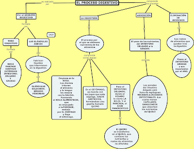 http://cmapspublic2.ihmc.us/rid=1T1M9KJM7-1D10DJF-3GVV/EL%20PROCESO%20DIGESTIVOS%206%C2%BA.cmap