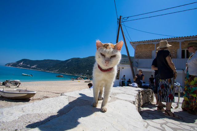 Spiaggia e mare di Agios Nikitas-Lefkada