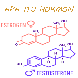 Pengertian Hormon dan Fungsinya