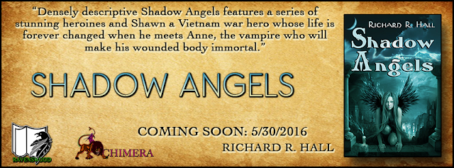 http://ravenswoodpublishing.blogspot.com/p/shadow-angels-by-richard-r-hall-virtual.html