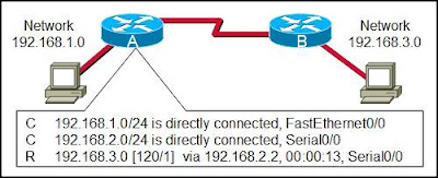 CCNA 1 Module 11 V4.0