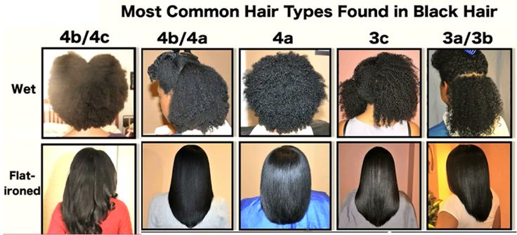 Hair Type Vs. Hair Porosity - Which One Will Help You ...