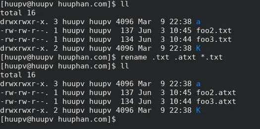 rename command in linux 2