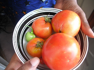 organic tomatoes and pepper from the garden