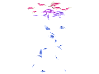 Some Flower's Effects Best PNG For Edditing