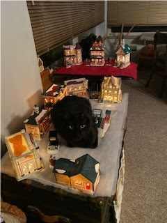 Dubh-Lisa Bonderson's black cat laying in the middle of ceramic-buildings that create a Christmas village