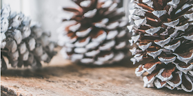 Simple stress management tips at Christmas