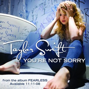 Your Not Sorry Lyrics  Taylor Swift