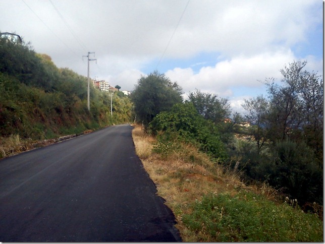 DSC00131 (Medium)