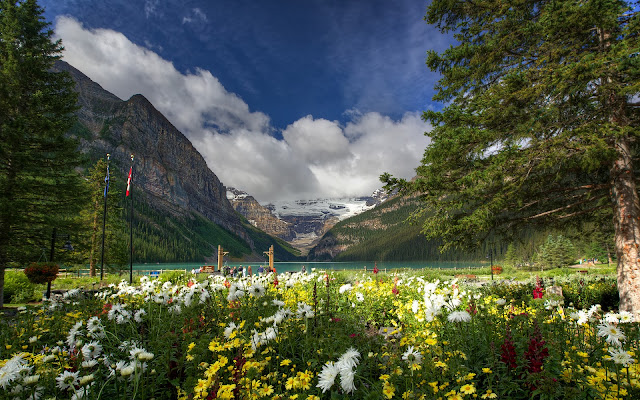 Lago Louise - Lake Louise - Alberta Canada