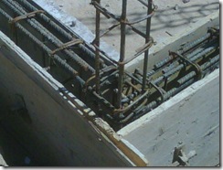 IMG00217-20110427-1431