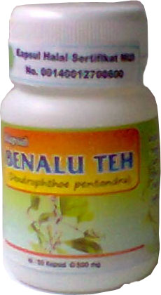 Benalu teh obat herbal amandel