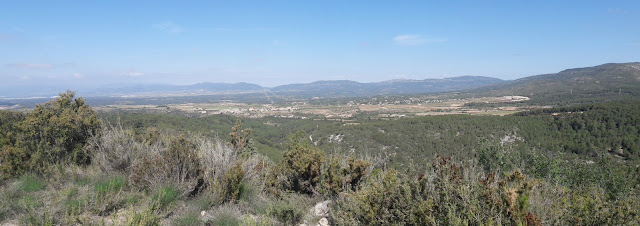 PR-C8 Santes Creus - Les Pobles - Castell de l'Albà- l'Albà - Santes Creus, panoràmica de l'Alt Camp