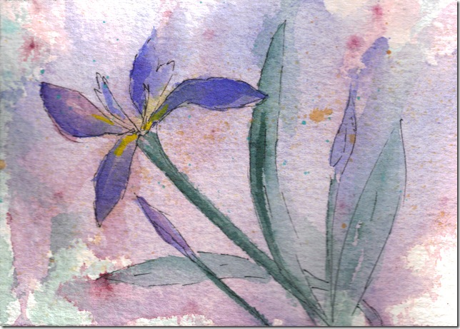 I'm enjoying combining ink with watercolor painting.