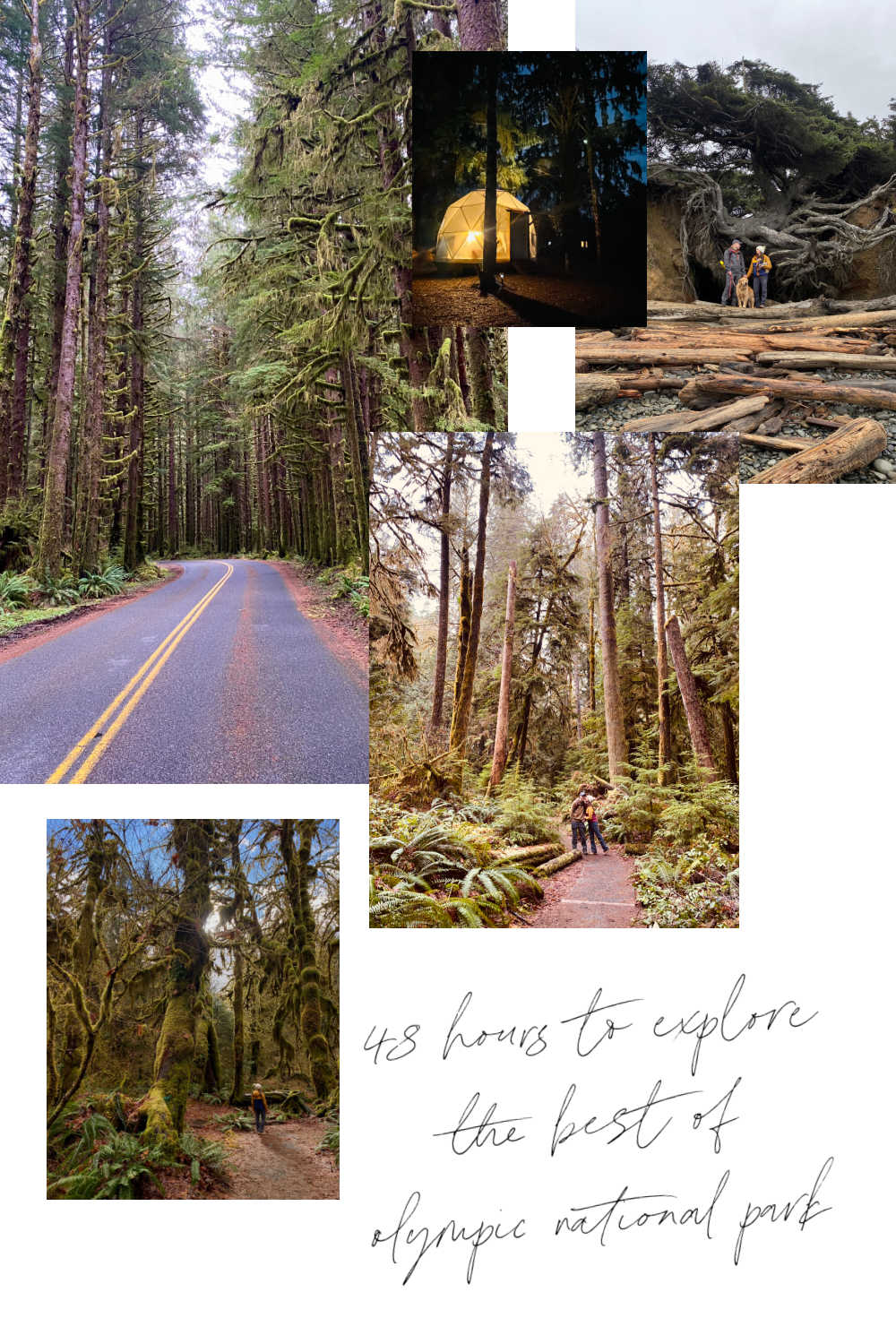 weekend guide to olympic national park