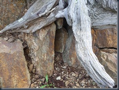 SmallCache1-1