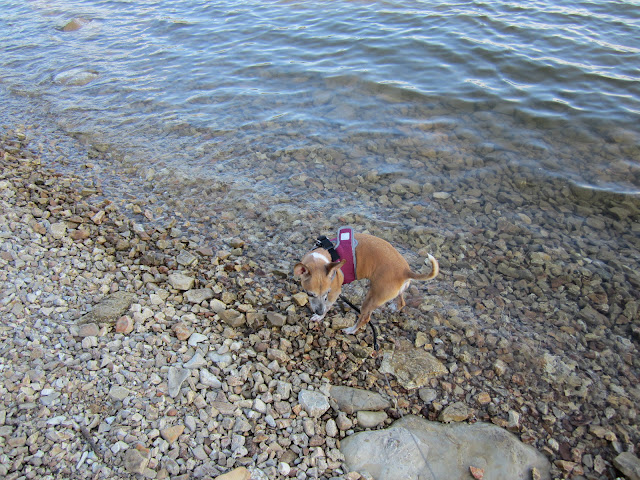 TABLE ROCK LAKE STATE PARK