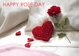 Rose day pics