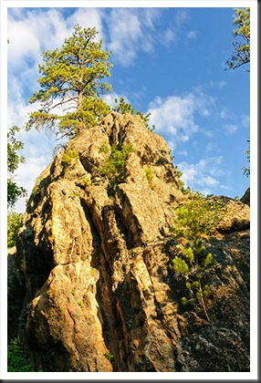 2011Jul31_Black_Hills_Iron_Mountain_Road-2