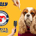 Zigly promises #NoCompromise on pet grooming, 