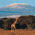 Climbing Mount Kilimanjaro tours and travel tips are provided at links
below