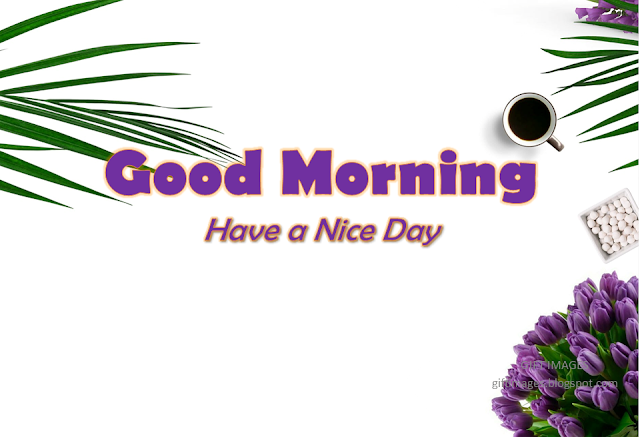 Good Morning Flowers images