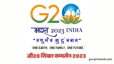 g 20 summit 2023 logo