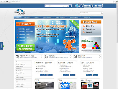 online web hosting