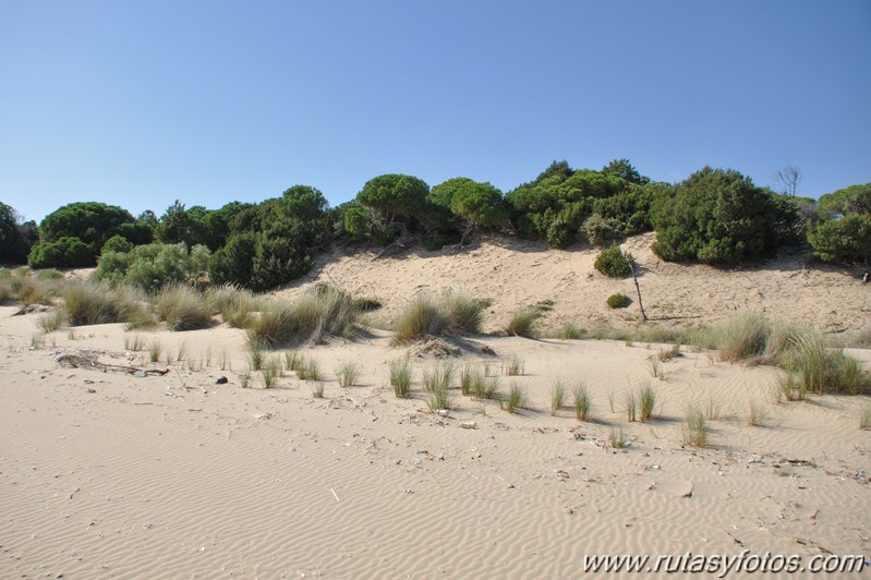 Parque Nacional de Doñana