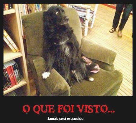 Desmotivacionais ,Humor ,Cachorros , OGatoNinja.blogspot.com