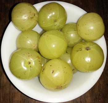 amla benefits