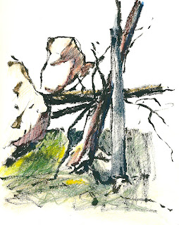 arbres, rochers, forêt de Fontainebleau, feutre pinceau, crayons de couleur, felt pen, colored pencils