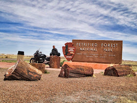 petrified forest national park