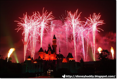 Disney Firework