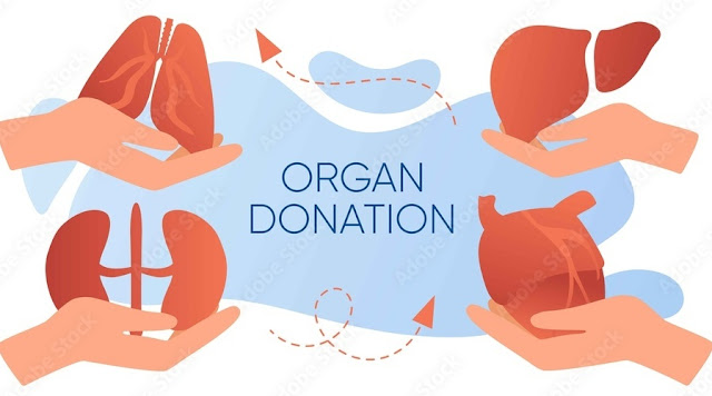 Centre Orders Probe into Surge of Foreigners Receiving Organ Transplants - Illustration depicting government directives and impact on organ transplants involving foreign nationals