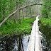 Chilkoot Trail