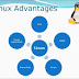 What  are the Advantages of  Linux Operating System ?