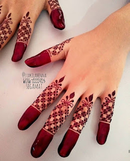 Beautiful Mehndi finger design