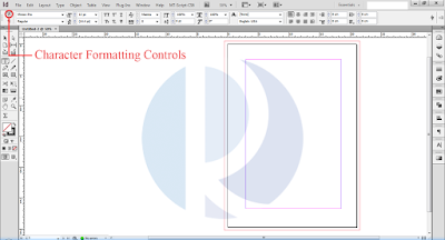 Adobe InDesign CS6