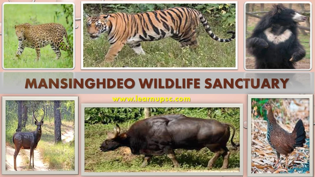 Mansinghdeo Wildlife Sanctuary